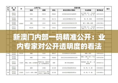 新澳门内部一码精准公开：业内专家对公开透明度的看法