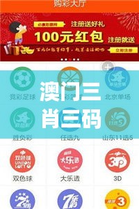 澳门三肖三码精准100%公司认证：专家级分析，助你把握投注时机