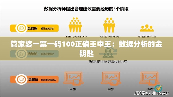 管家婆一票一码100正确王中王：数据分析的金钥匙