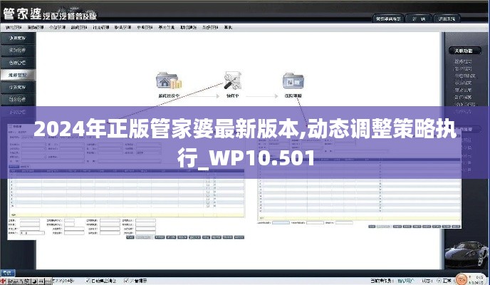 2024年正版管家婆最新版本,动态调整策略执行_WP10.501