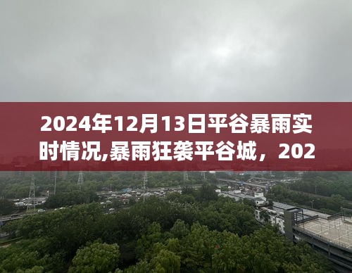 2024年12月13日平谷暴雨实时报道，暴雨狂袭下的自然洗礼