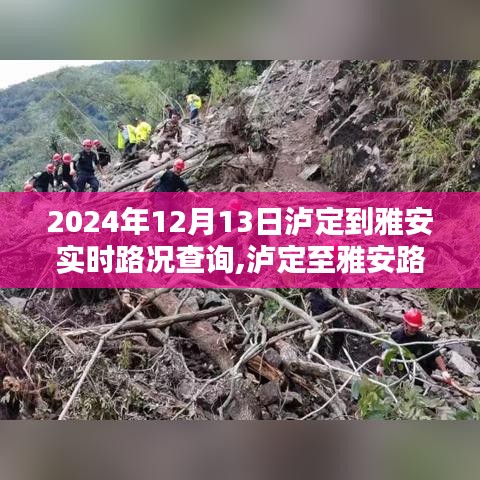 泸定至雅安实时路况查询，掌握最新路况，无忧出行