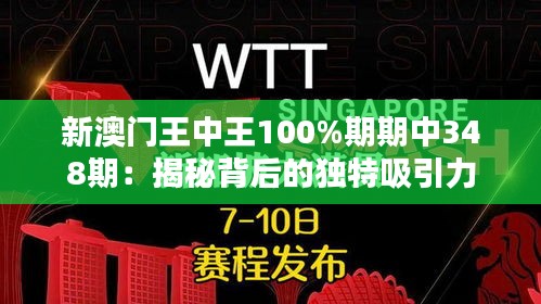 新澳门王中王100%期期中348期：揭秘背后的独特吸引力