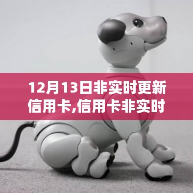 信用卡非实时更新指南，适用于初学者与进阶用户（12月13日版更新）