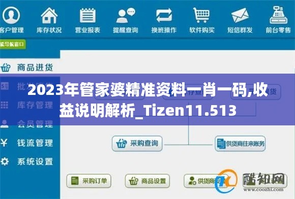 2023年管家婆精准资料一肖一码,收益说明解析_Tizen11.513