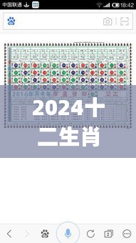 2024十二生肖49码表,全面评估解析说明_9DM9.155