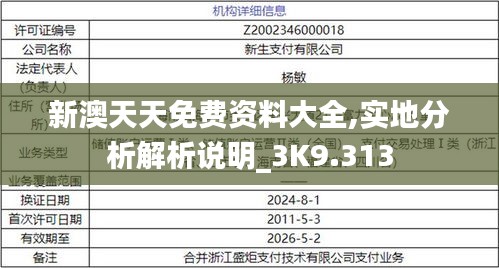 新澳天天免费资料大全,实地分析解析说明_3K9.313