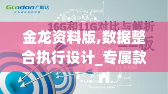 金龙资料版,数据整合执行设计_专属款110.878