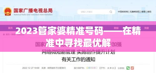 2023管家婆精准号码——在精准中寻找最优解