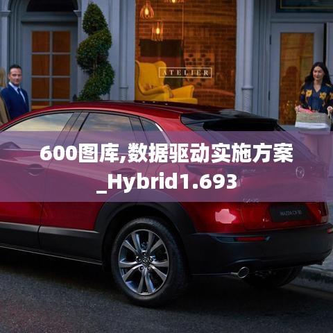 600图库,数据驱动实施方案_Hybrid1.693