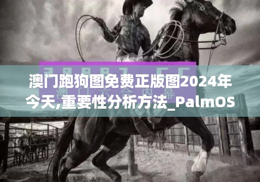 澳门跑狗图免费正版图2024年今天,重要性分析方法_PalmOS16.558