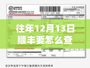 详细指南，如何查询往年12月13日顺丰实时运费记录及费用分析