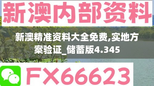 新澳精准资料大全免费,实地方案验证_储蓄版4.345