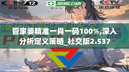 管家婆精准一肖一码100%,深入分析定义策略_社交版2.537