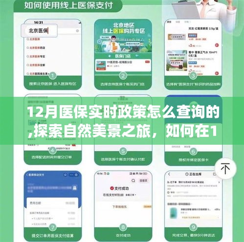 12月医保实时政策查询指南及自然美景探索之旅，寻求内心的宁静与平和