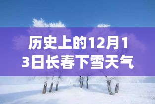 历史上的长春雪天，逆风飞雪的励志篇章与实时天气回顾——12月13日篇