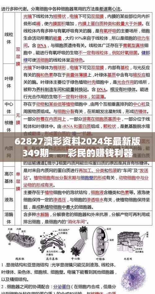 62827澳彩资料2024年最新版349期——彩民的赚钱利器