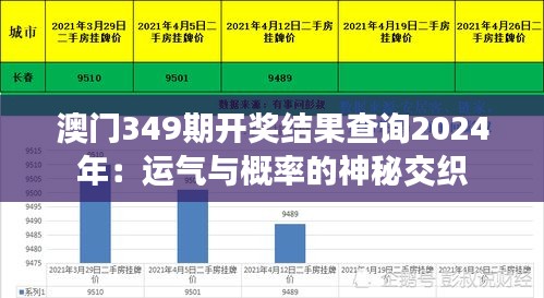 澳门349期开奖结果查询2024年：运气与概率的神秘交织