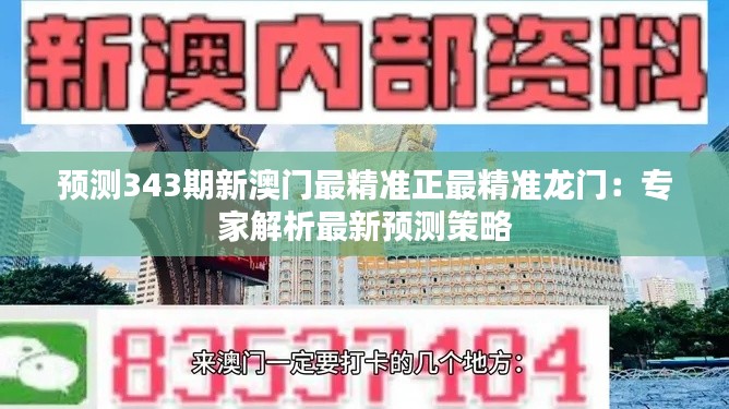 预测343期新澳门最精准正最精准龙门：专家解析最新预测策略