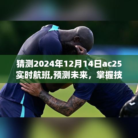 预测未来航班动态，揭秘AC25航班在2024年12月14日的实时航班情况