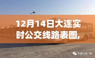 12月14日大连公交实时线路表图，日常奇遇与暖心之旅