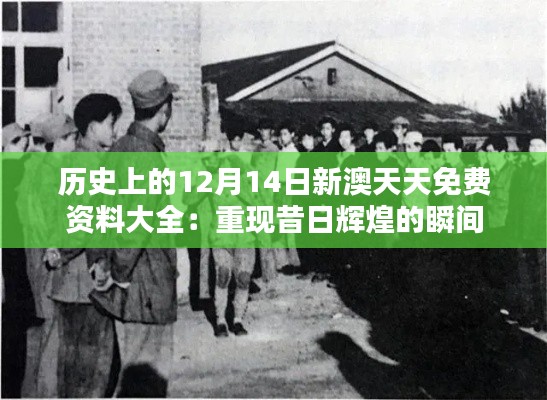 历史上的12月14日新澳天天免费资料大全：重现昔日辉煌的瞬间