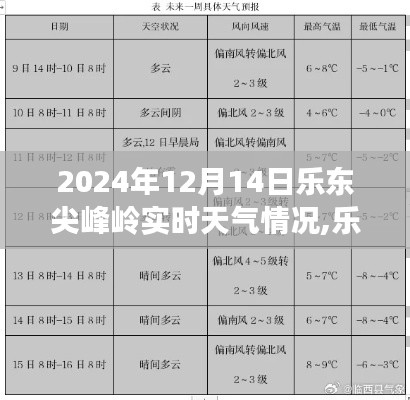 2024年12月14日乐东尖峰岭实时天气深度解析及天气预报