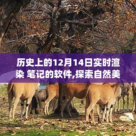 历史上的12月14日，渲染软件与自然美景探索之旅的奇妙缘分