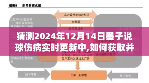 墨子说球伤病实时更新指南，获取分析与进阶用户指南，预测2024年赛事状况更新中