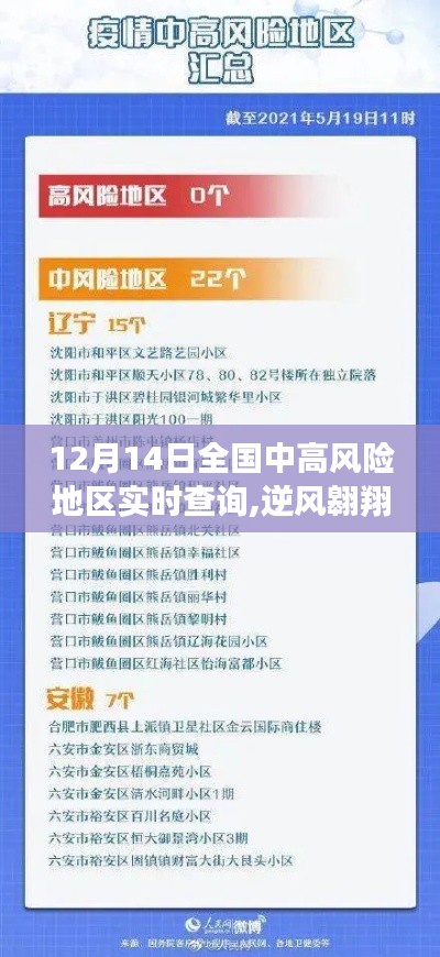 全国中高风险地区实时查询背后的励志故事，逆风翱翔，数据为翼，学习砥砺前行