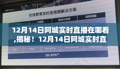 揭秘阿城12月14日实时直播新动向，科技引领生活潮流