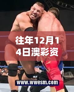 往年12月14日澳彩资料免费的资料大全wwe：年度彩市分析的瑰宝