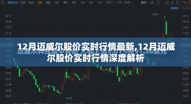 12月迈威尔股价实时行情解析与深度探讨