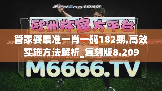 管家婆最准一肖一码182期,高效实施方法解析_复刻版8.209