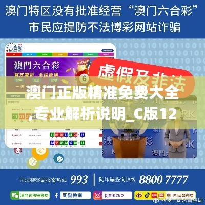 澳门正版精准免费大全,专业解析说明_C版12.113