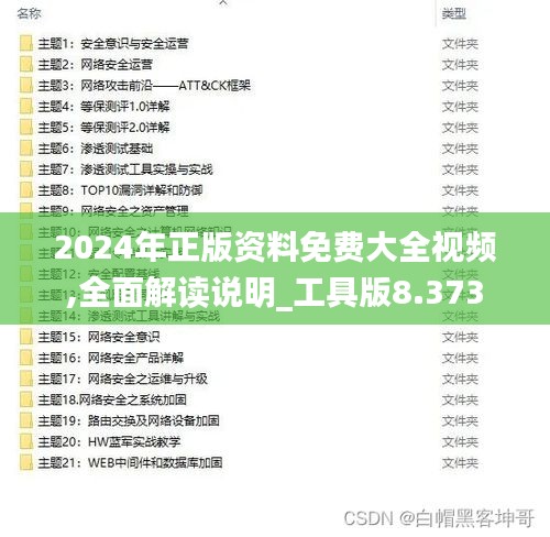 2024年正版资料免费大全视频,全面解读说明_工具版8.373