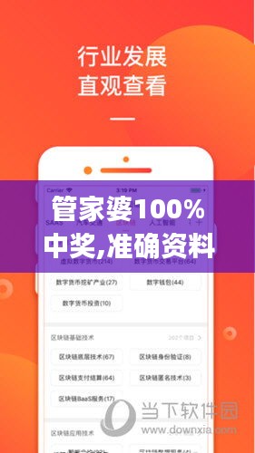 管家婆100%中奖,准确资料解释定义_Plus10.173