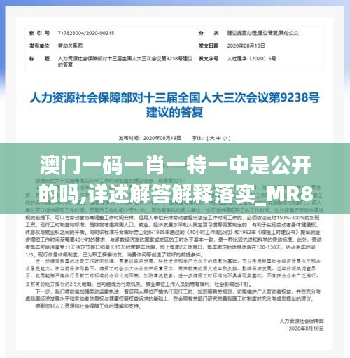 澳门一码一肖一特一中是公开的吗,详述解答解释落实_MR8.692