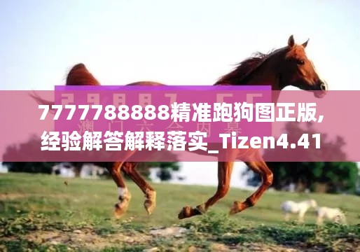 7777788888精准跑狗图正版,经验解答解释落实_Tizen4.419