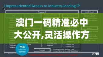 澳门一码精准必中大公开,灵活操作方案设计_黄金版15.228