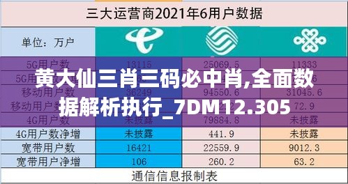 黄大仙三肖三码必中肖,全面数据解析执行_7DM12.305