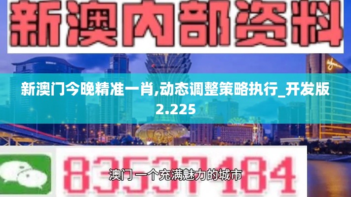 新澳门今晚精准一肖,动态调整策略执行_开发版2.225