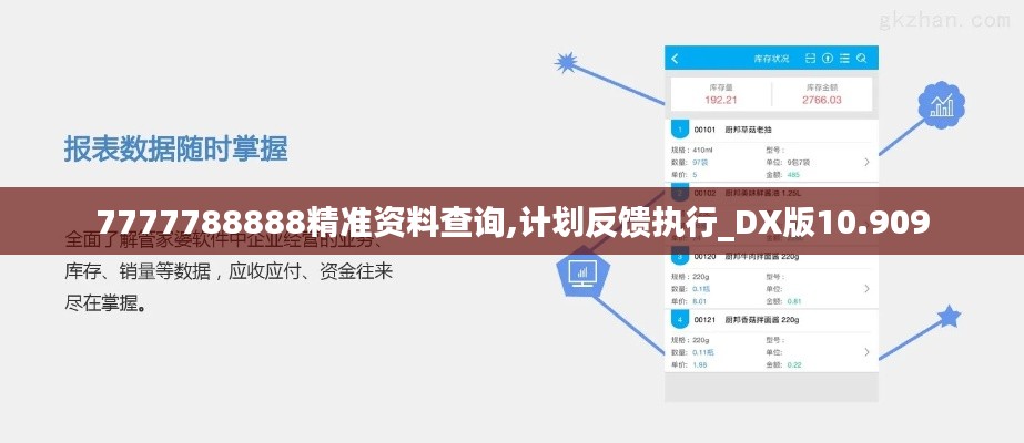 7777788888精准资料查询,计划反馈执行_DX版10.909