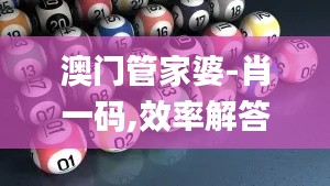 澳门管家婆-肖一码,效率解答解释落实_开发版11.317