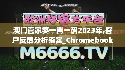 澳门管家婆一肖一码2023年,客户反馈分析落实_Chromebook3.261