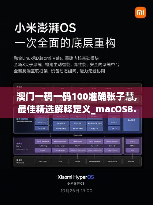 澳门一码一码100准确张子慧,最佳精选解释定义_macOS8.661