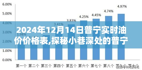 探秘普宁油价宝藏，独家揭秘普宁实时油价价格表（2024年12月14日）