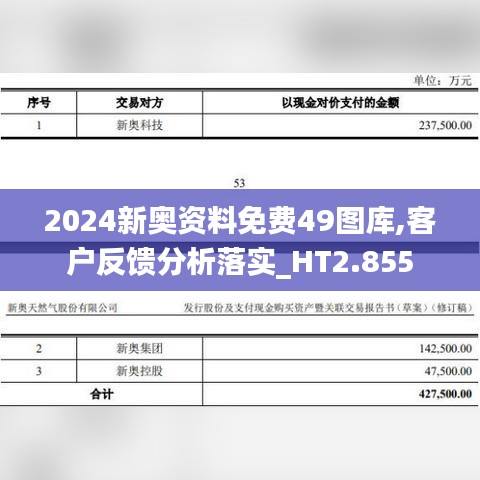 2024新奥资料免费49图库,客户反馈分析落实_HT2.855