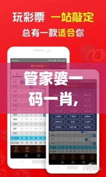 管家婆一码一肖,系统解答解释落实_复刻版17.825