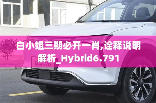 白小姐三期必开一肖,诠释说明解析_Hybrid6.791